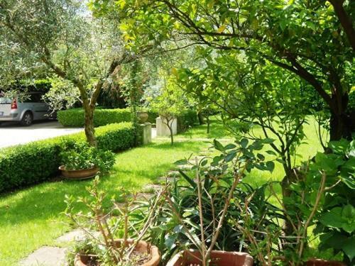 Villa Scimmia Scauri  Exterior photo
